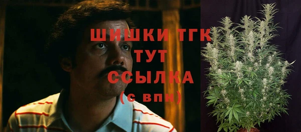 соль ск Заводоуковск