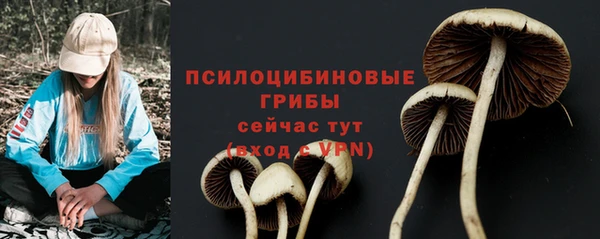 соль ск Заводоуковск