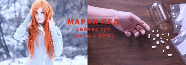 шишки Заволжье