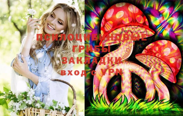 соль ск Заводоуковск