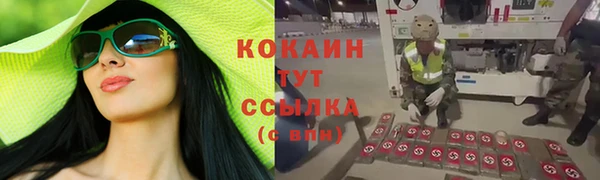 шишки Заволжье