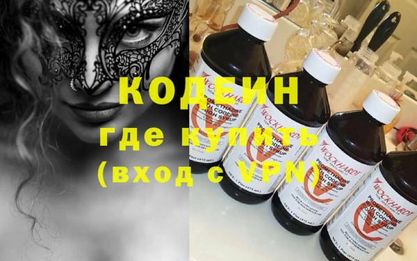 шишки Заволжье