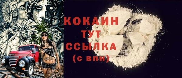 шишки Заволжье
