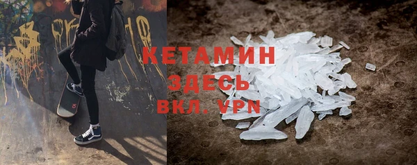 шишки Заволжье