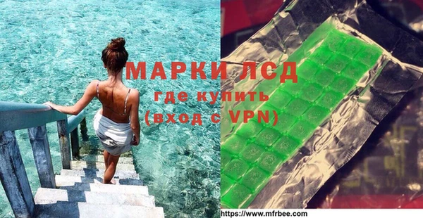 шишки Заволжье