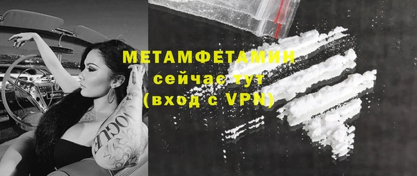 шишки Заволжье
