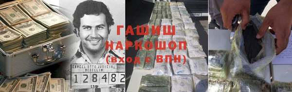 шишки Заволжье