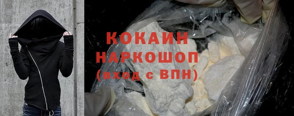 шишки Заволжье