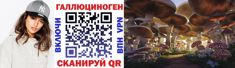 hydra маркетплейс  Инза  Галлюциногенные грибы Psilocybe 